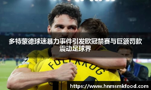 多特蒙德球迷暴力事件引发欧冠禁赛与巨额罚款震动足球界